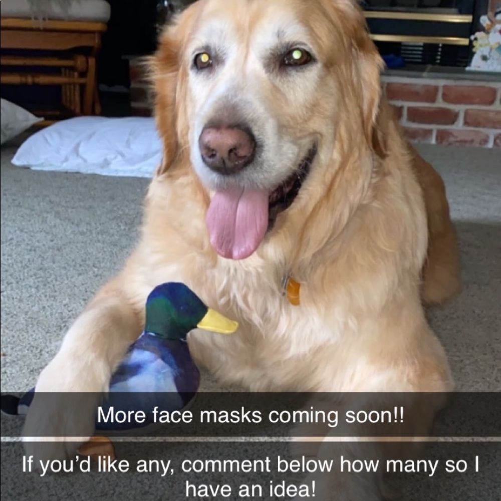 Face masks:FABRIC LISTED BELOW - Picture 1 of 5